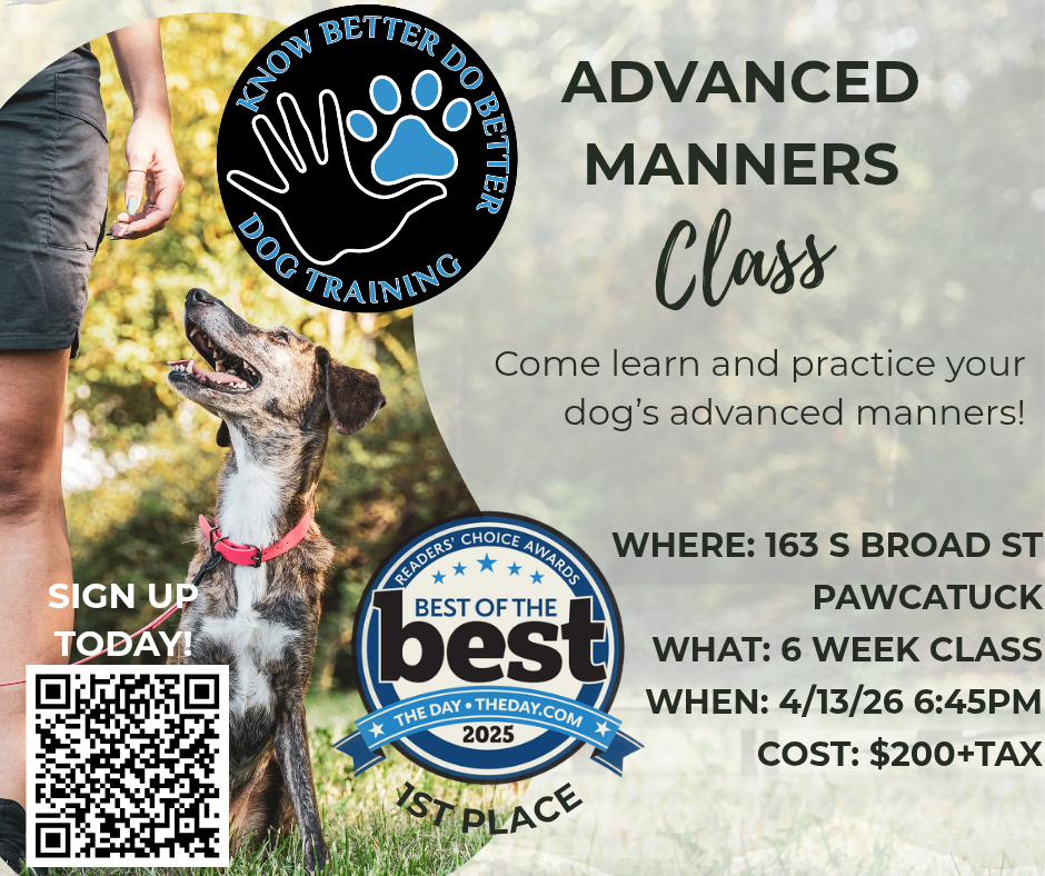 Advanced Manners Class Flyer