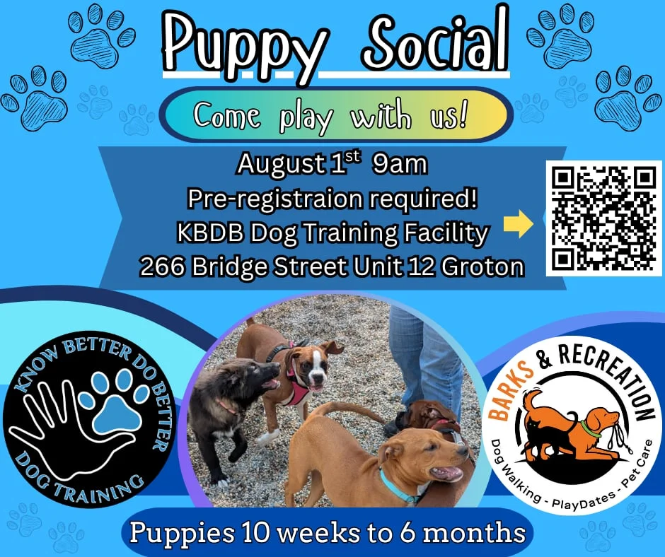 Puppy Social Meet-Up flyer
