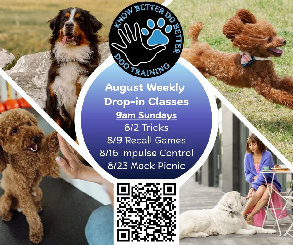 August Weekly Drop-in Classes flyer
