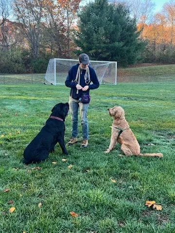 Dog training location